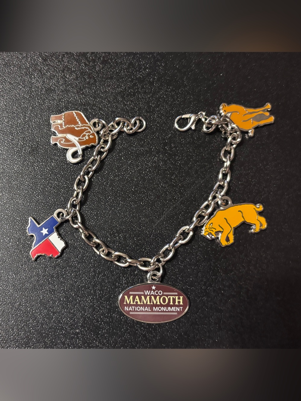 Texas Travel Charm Bracelet Visit Waco Mammoth saber tooth tiger